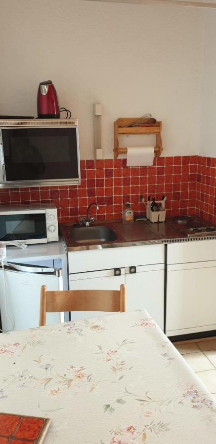 Joli Studio Chamechaude Saint-Pierre-de-Chartreuse Dış mekan fotoğraf