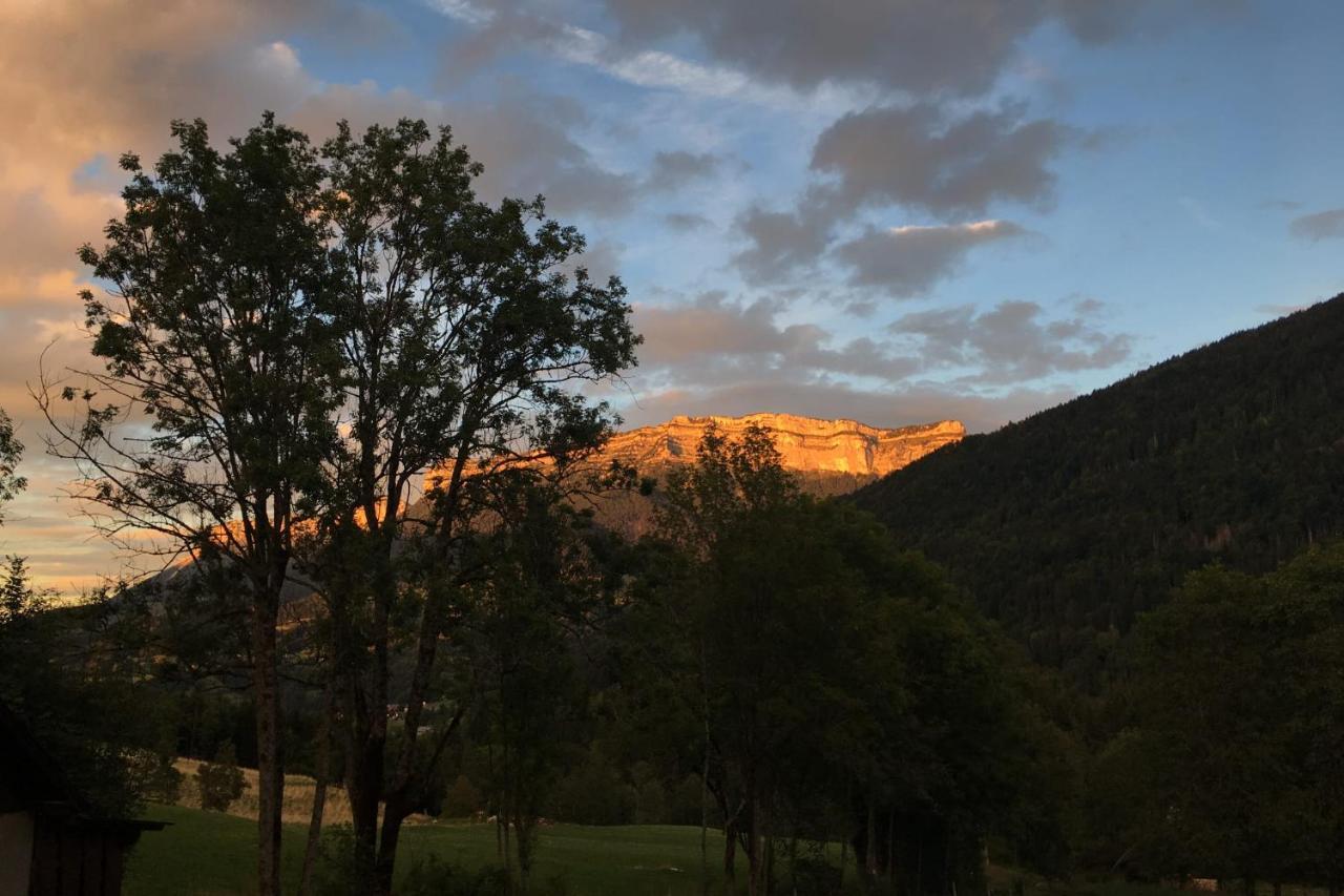 Joli Studio Chamechaude Saint-Pierre-de-Chartreuse Dış mekan fotoğraf